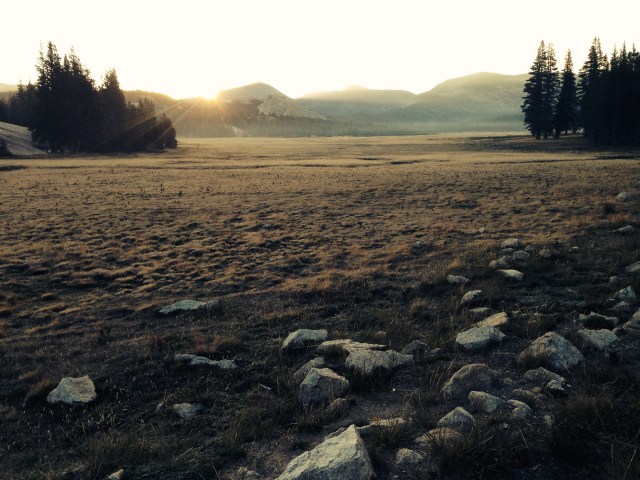 Sunrise in Tuolumne Meadows, 8/18/14
