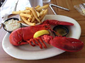 One view of the crustacean closely identified with Maine, taken soon after we disembarked.