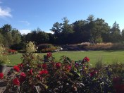 Even late in the season the Coastal Maine Botanical Garden was in bloom.