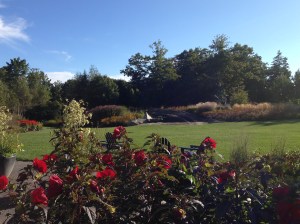 Even late in the season the Coastal Maine Botanical Garden was in bloom.