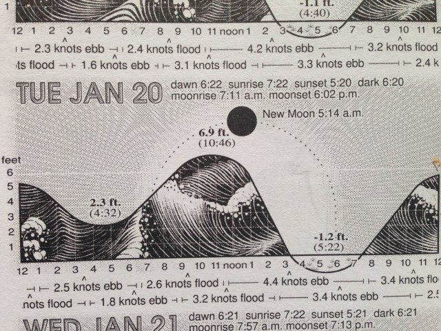 Visual of yesterday's king tide, courtesy of the 2015 Northern California Tidelog.  www.Tidelog.com.