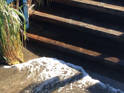 Bay water lapping at the steps down to the Dolphin Club beach.