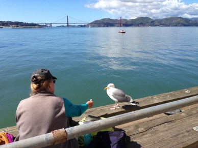 Taking a break between film programs just outside of Cowell Theater.