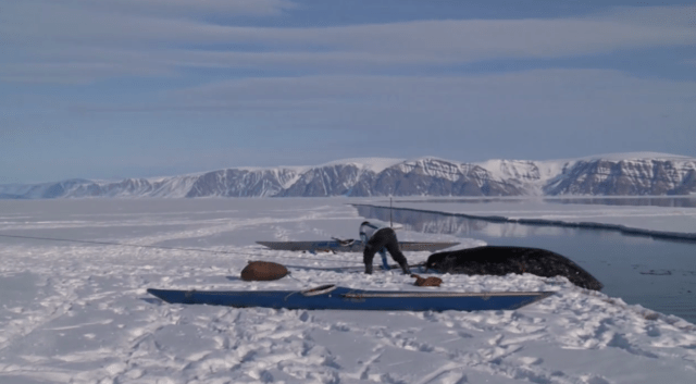 Beautifully filmed portraits  of two cultures under siege by changing weather.
