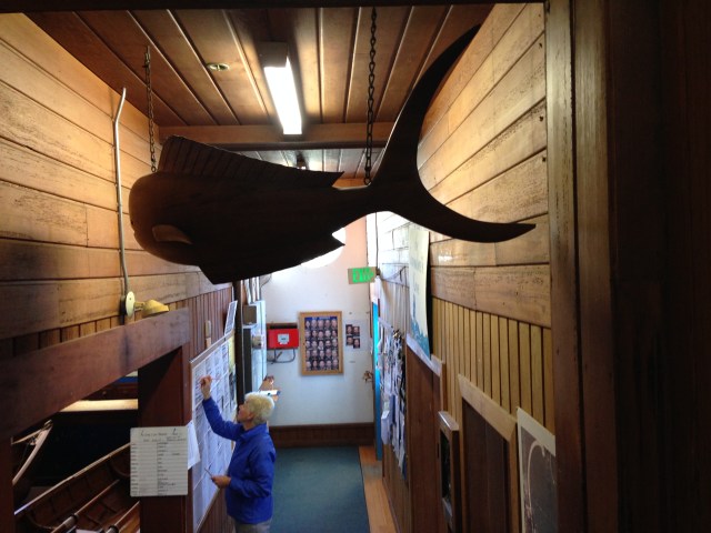 Club's entry with a member diligently recording her PB miles.  Note the large wood carving of a dolphin.