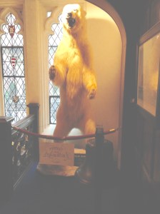 Explorers Club's clubhouse ambiance aided by the Polar Bear